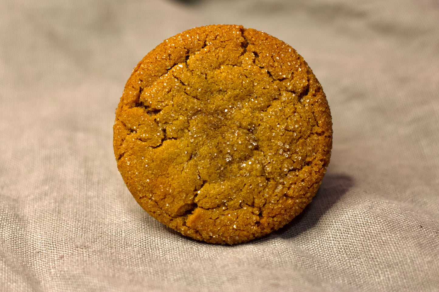 Ginger Molasses Cookie